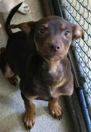 FRANKLIN