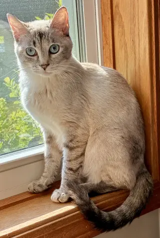 Shanti