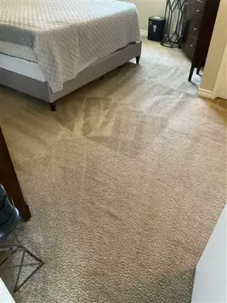 Steam Carpet Cleaning