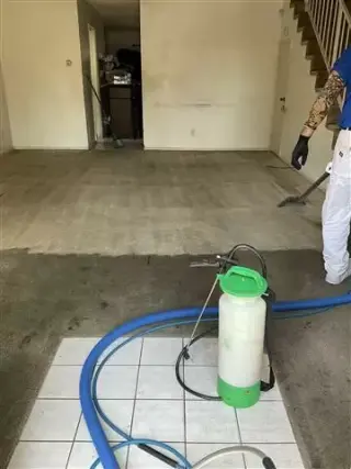 Steam Carpet Cleaning