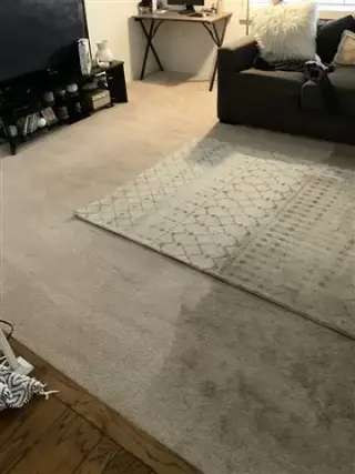 Steam Carpet Cleaning