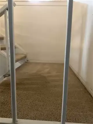 Steam Carpet Cleaning
