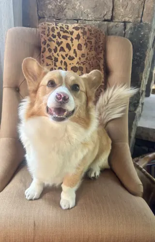 Winston