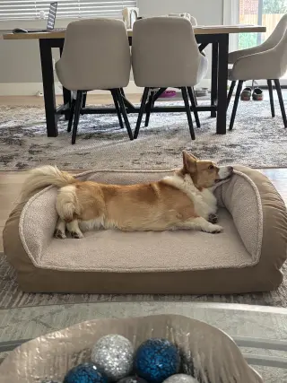 Winston
