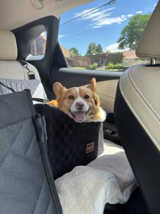 Winston