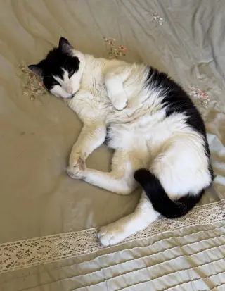 Earl & Stella (Courtesy Post)