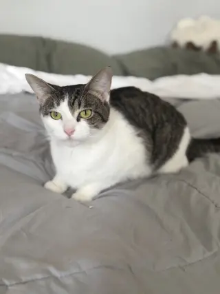 Sugar