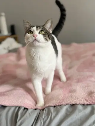 Sugar