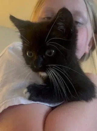 Pete