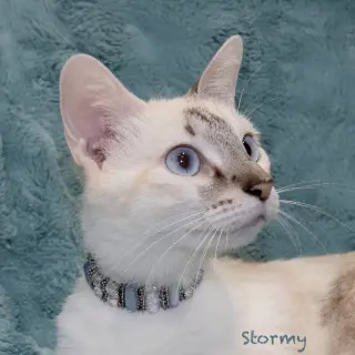 Stormy