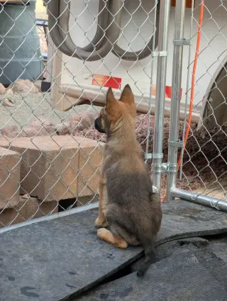 Drive Thru litter, Jimmy - located in UT