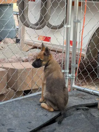 Drive Thru litter, Jimmy - located in UT