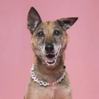 Celia - Located in PA