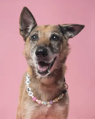 Celia - Located in PA