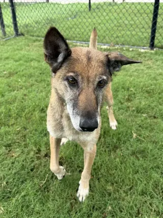 Celia - Located in PA
