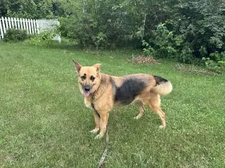 Matilda