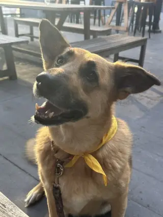 Matilda