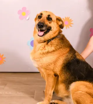 Matilda