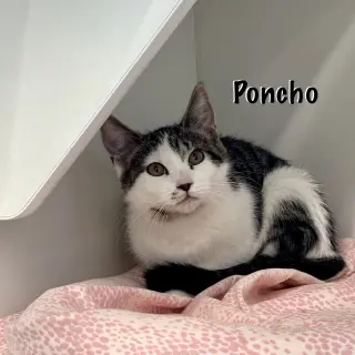 Hero