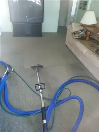 LAVADO DE ALFOMBRAS  $