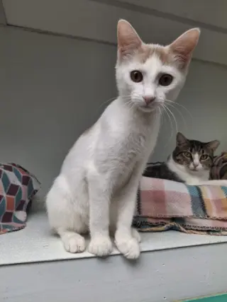 Darby AND O'Malley