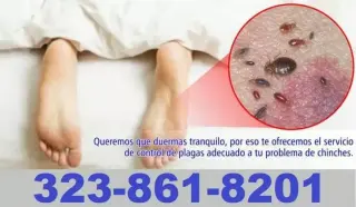CUCARACHAS/ROEDORES/CHINCHES