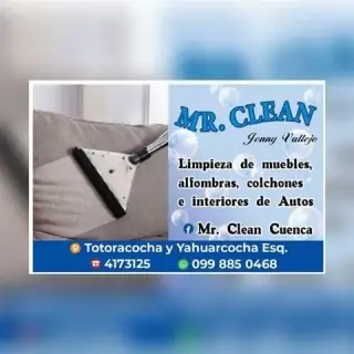 LIMPIEZA DE MUEBLES Y ALFOMBRA