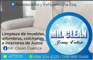 LIMPIEZA DE MUEBLES Y ALFOMBRA