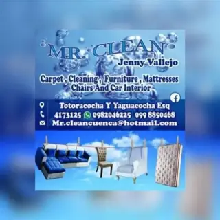 LIMPIEZA DE MUEBLES Y ALFOMBRA