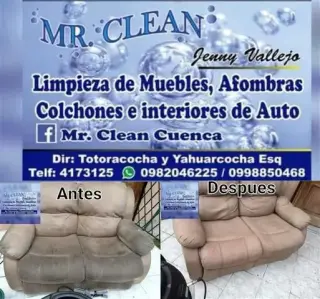 LIMPIEZA DE MUEBLES Y ALFOMBRA