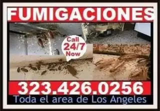 FUMIGACION #1 TERMITAS-PLAGAS