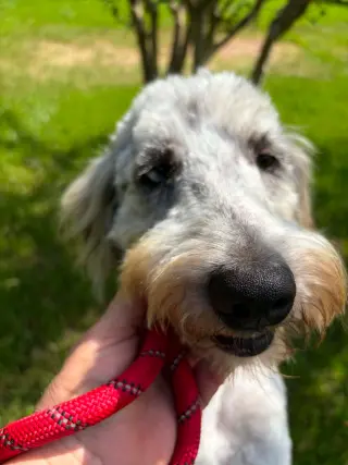Logan