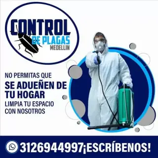 Control de plagas Medellín
