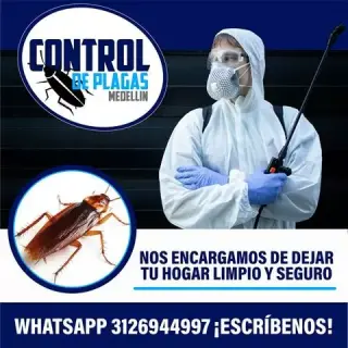 Control de plagas Medellín
