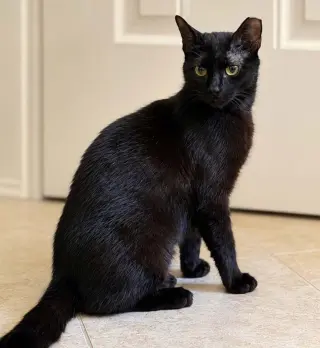 Bernadette