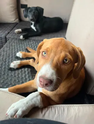 Ruby