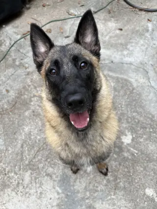 Mindy - located in Florida