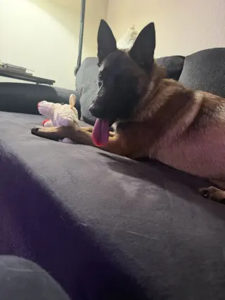 Mindy - located in Florida