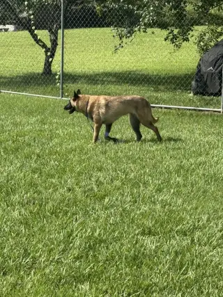 Mindy - located in Florida
