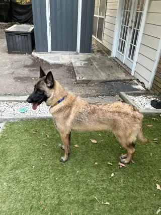 Mindy - located in Florida