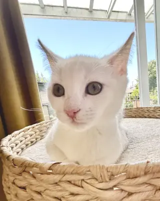 Luna