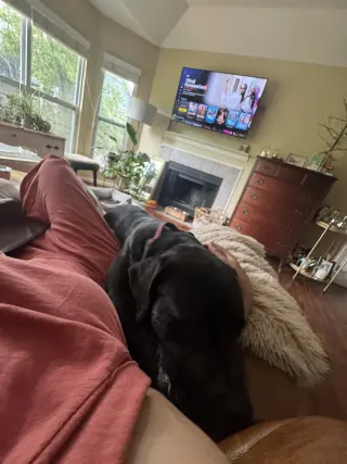 Rex