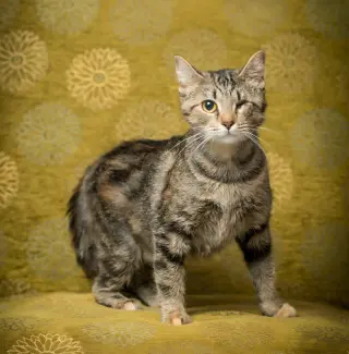 Mama Maggie