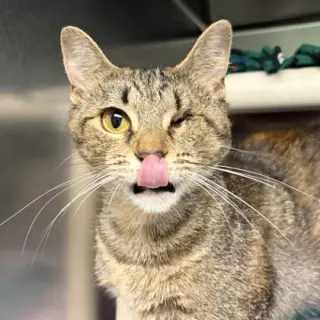 Mama Maggie