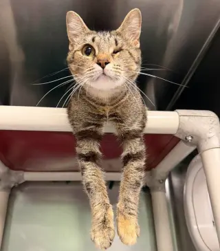 Mama Maggie