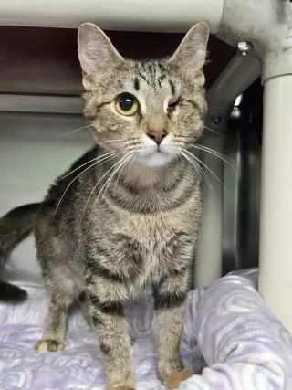 Mama Maggie