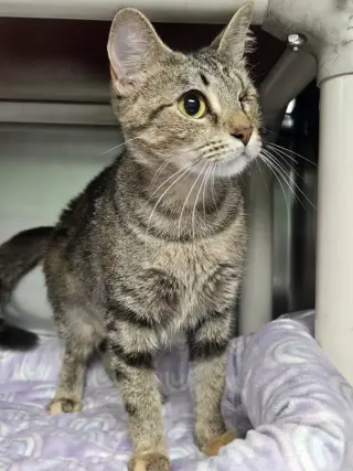 Mama Maggie