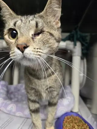 Mama Maggie