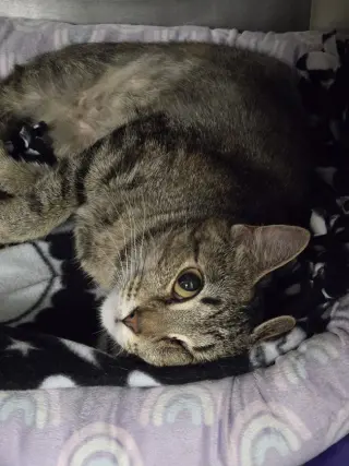 Mama Maggie