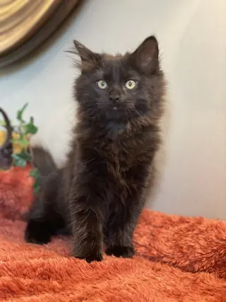 Stormy